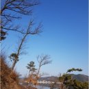 충남댁 이미지