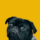 좋은가축인공수정소 이미지