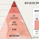 당지 중앙일보