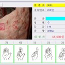 중도매인37호 이미지