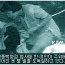 삼풍 이미지
