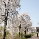 굴포공원 이미지