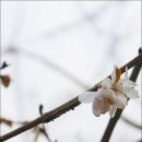 가곡 동막사방댐 화장실 | 2017.12.9.토. 능가산 관음봉(내변산 직소폭포, 내소사)