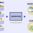 오늘 아침메뉴 칼로리는?…건보공단 앱서 4만여종 식품정보 확인 이미지