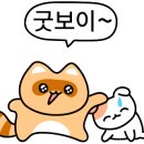 착한돼지집