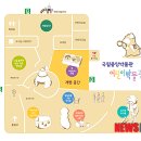 토끼의지혜 이미지