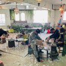 희망의 나무 休 이미지