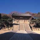 창건지반기술 | 부산 범어사 대웅전 기둥에 대한 구조적·사료적 사유