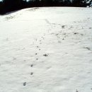 개오리오름 눈밭 풍경 이미지