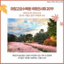 아침고요수목원 국화전시회 2019 이미지