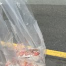 달콤별크레페 네이버블로그