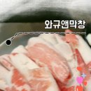 와규앤막창 - 파주시 가람로21번길 41 | 와규앤막창
