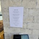 반석동로 | 반석동 신상 양식집, 화덕 피자가 너무 맛있었던 "피제리아하피" 내돈내산 방문 후기✨️