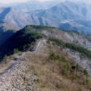 산성가축 이미지