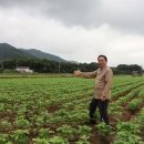 군서농협 이미지