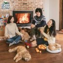 효리네민박2, 오늘 저녁 9시 jtbc 이미지