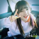 큐브트리 이미지