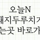 오늘, 시간돼지 이미지