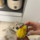 오늘도 너와 이미지