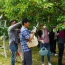 입실2리 이미지