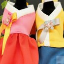 비비드독 이미지