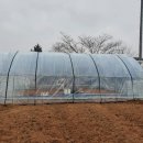 미니하우스 이미지