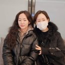 스칼렛헤어 이미지