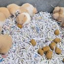 다솜생태체험관 이미지