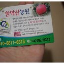 참이슬 농원 이미지