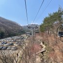 [경기 광주 곤지암 당일치기] 꽃이 아직 피지 못해 아쉬웠던 화담숲 방문 후기