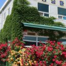 미사리 승마공원 이미지