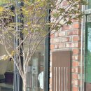 수원-1397 이미지