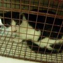 이상윤동물병원 이미지