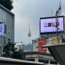 CU여주명동점 | 8월 둘째 주 일기 (8/12~8/18)