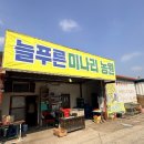 푸른농원 | 양산 미나리삼겹살 원동 24번 늘푸른청정미나리농원 후기