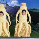 유성본가본점 누룽지삼계탕 이미지