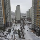 다정동커뮤니티센터 버스정류장 이미지