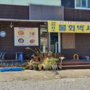 감포물회박사