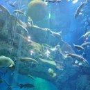 화지8리 이미지