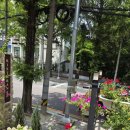 창원 가로수길 신상 맛집 웨스트벨리 화덕피자 파스타 내돈내산 후기
