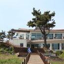 대포해송 이미지