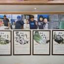 단양보건소 | 충북 단양 현지인 맛집 성원마늘약선요리 떡갈비마늘정식 추천