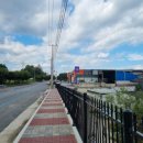 황무로 3 이미지