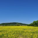 석교둔치공원 네이버블로그