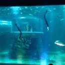 밍크모텔 이미지