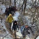 진관농장 이미지