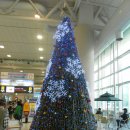 2010 성탄트리 / 제주국제공항 이미지