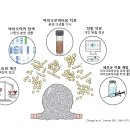 바이옴 이미지