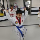 보라매태권도장 이미지