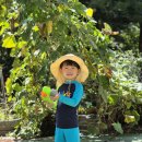 신나게 발사💦🔫 한여름 물총놀이😆 이미지